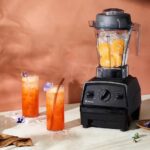 vitamix explorian